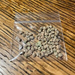 Prickly Pear Cactus Seeds (Approx 50)